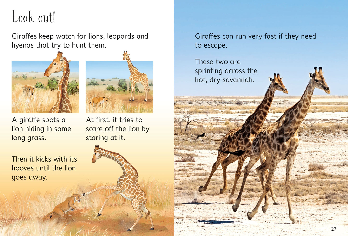 Giraffes , Age 4+