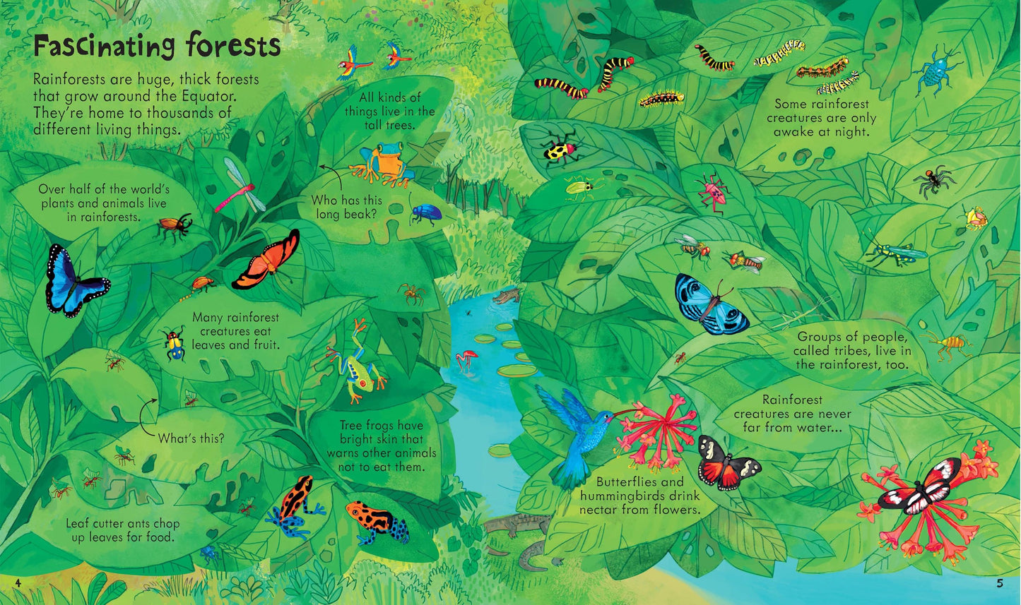 Look Inside Our World , Age 4+