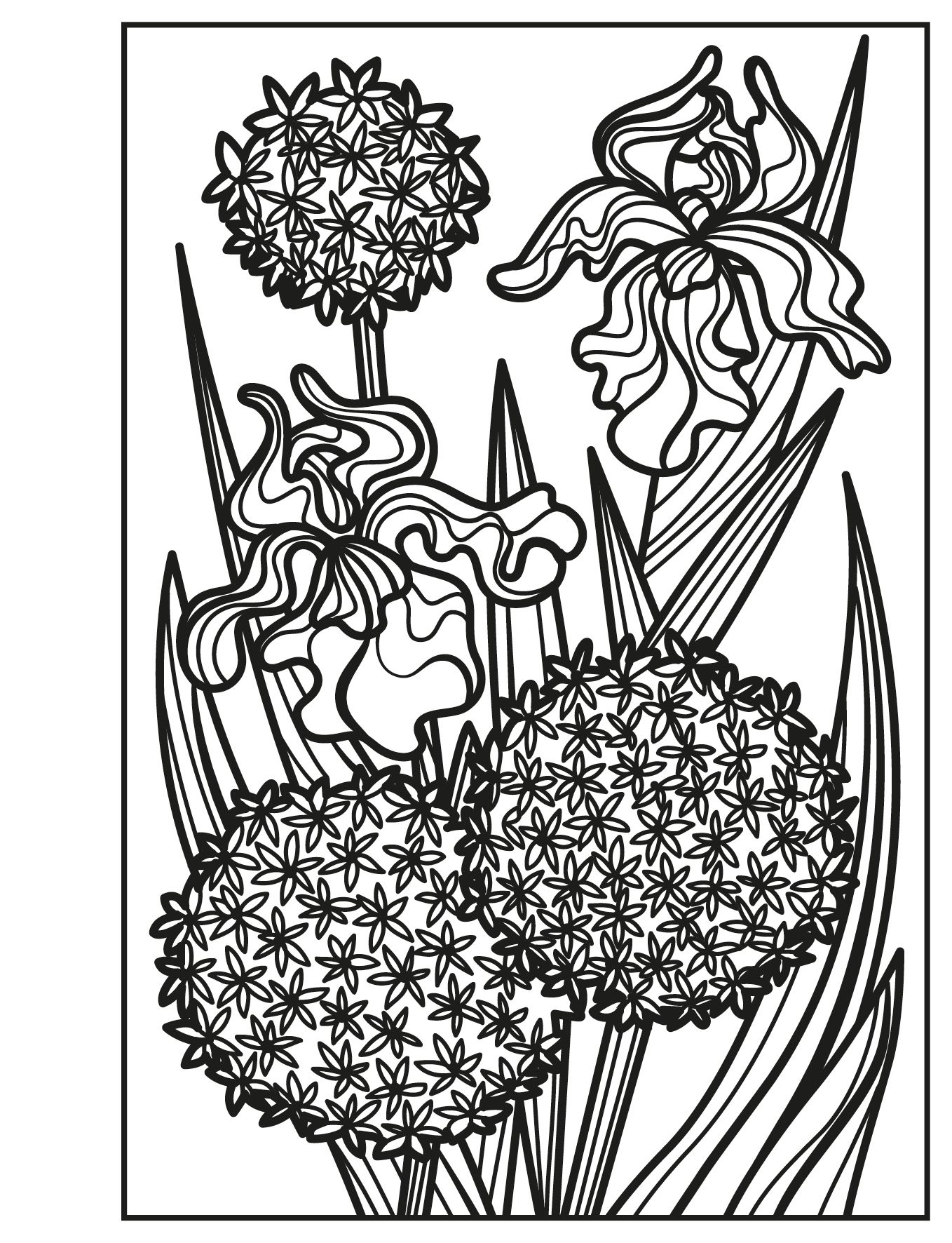 Flowers Magic Painting Book, Age 6+