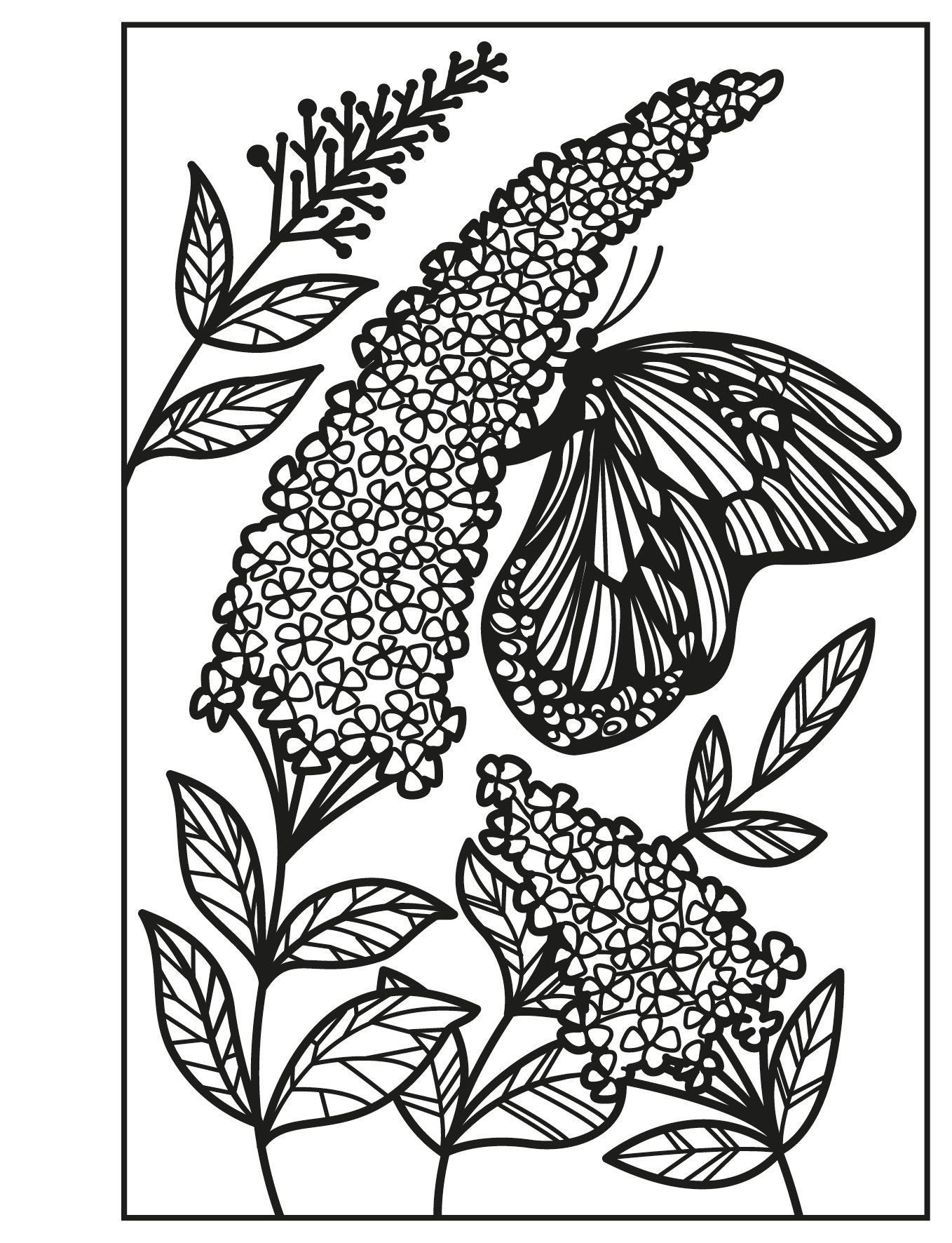 Flowers Magic Painting Book, Age 6+