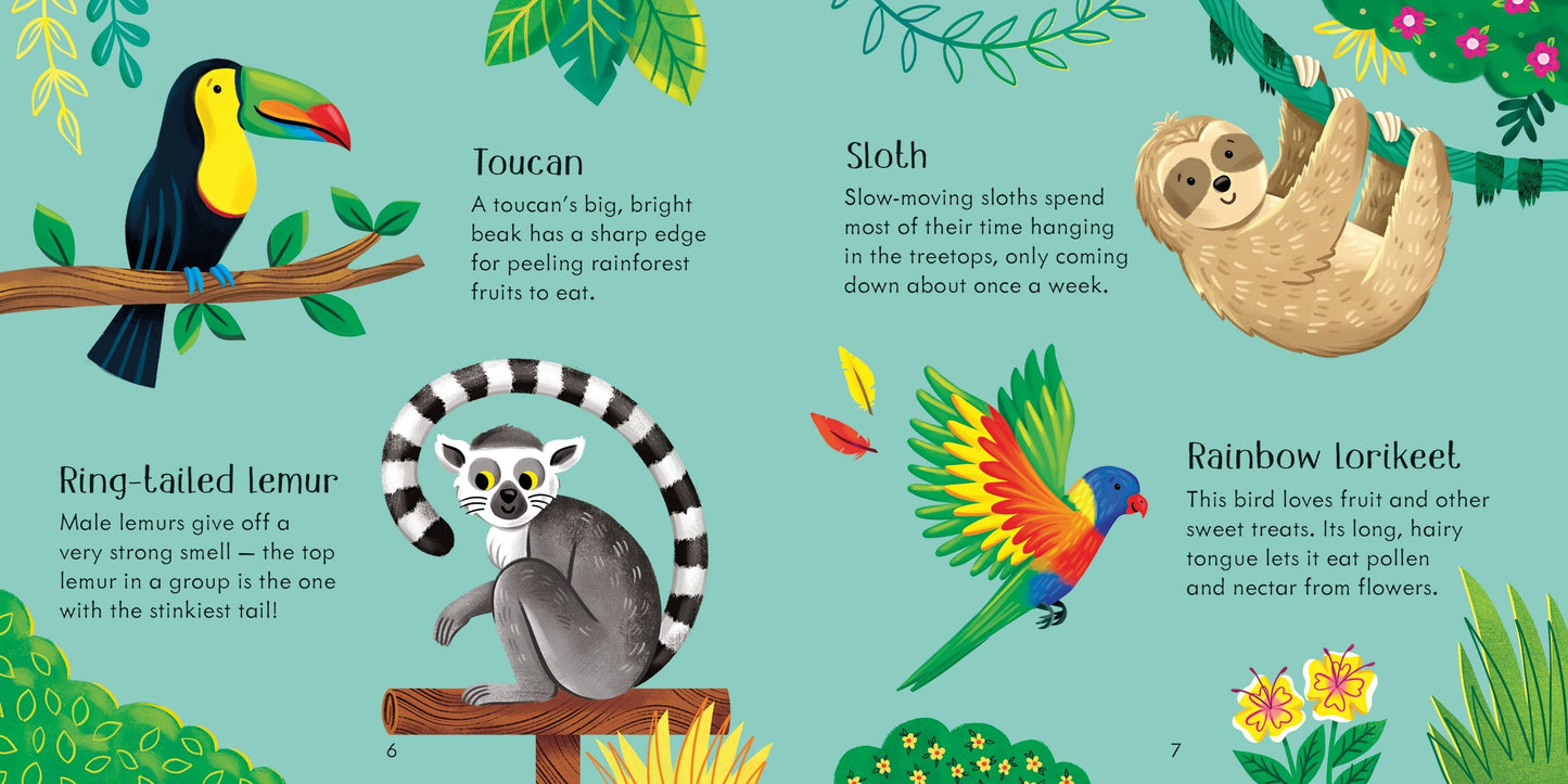 Zoo Matching Games and Book. Age 3+