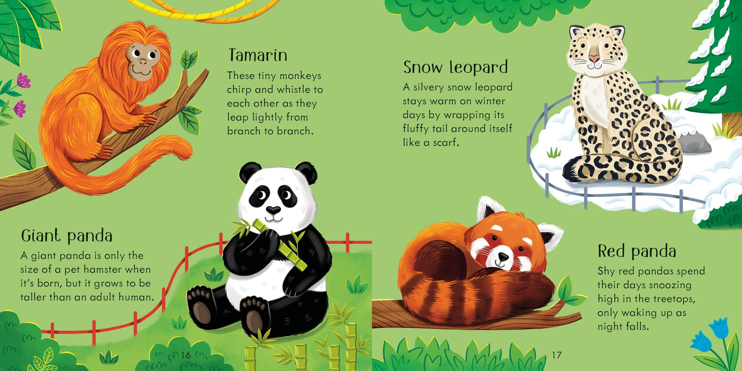 Zoo Matching Games and Book. Age 3+