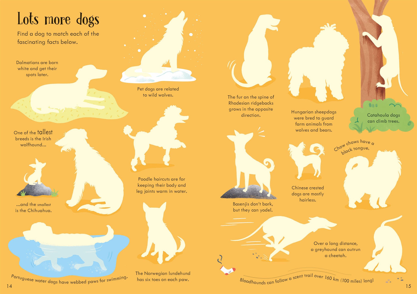 Little First Stickers Dogs and Puppies, Age 3+