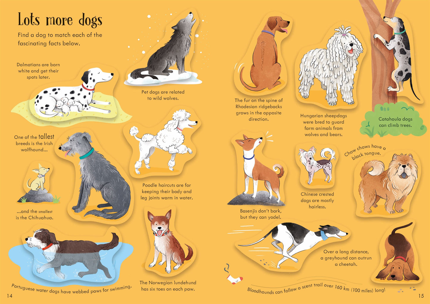 Little First Stickers Dogs and Puppies, Age 3+