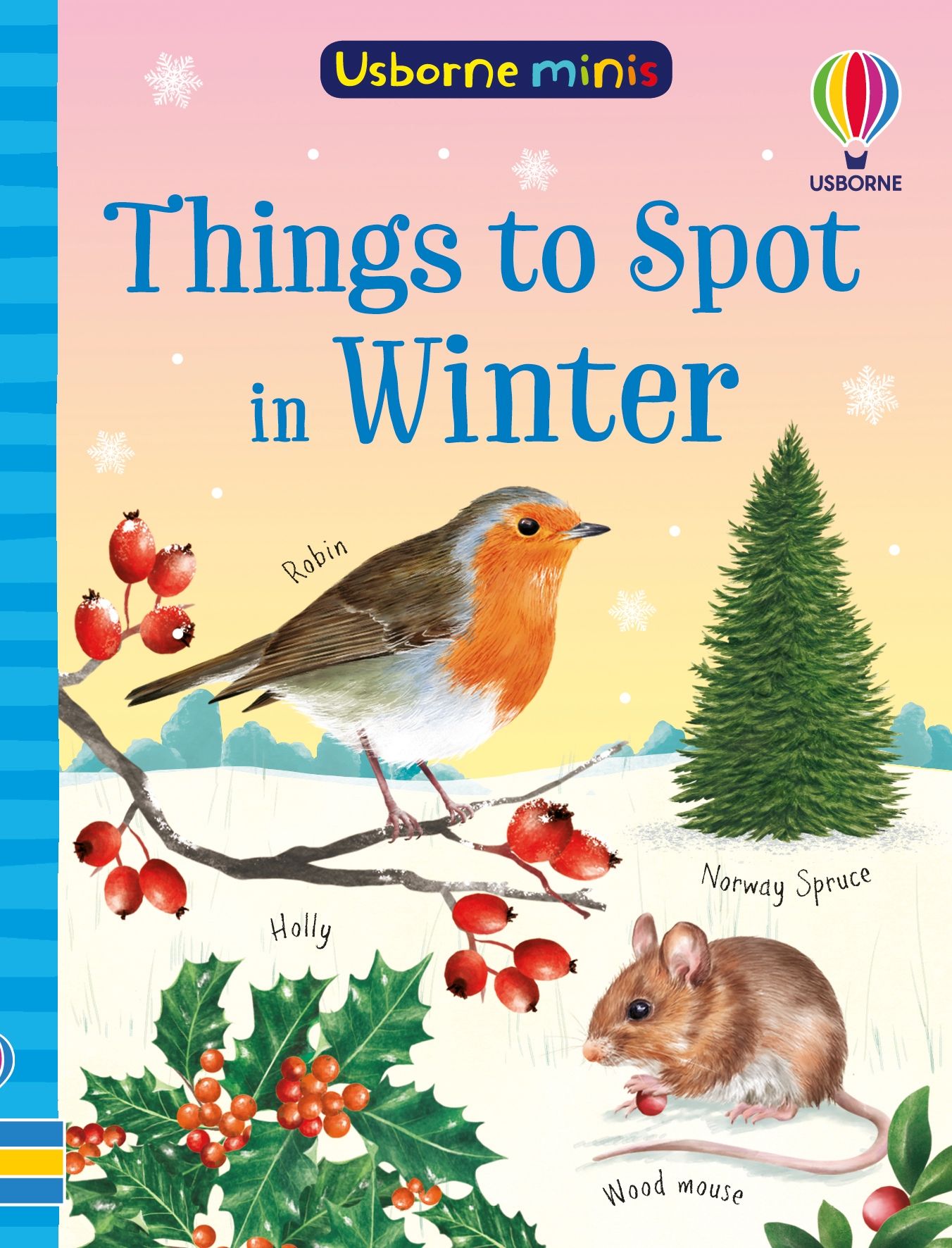 Things to Spot in Winter, Age 6+
