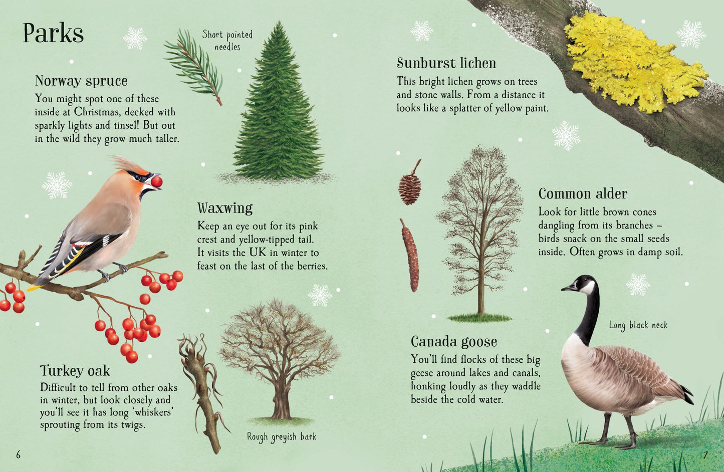 Things to Spot in Winter, Age 6+