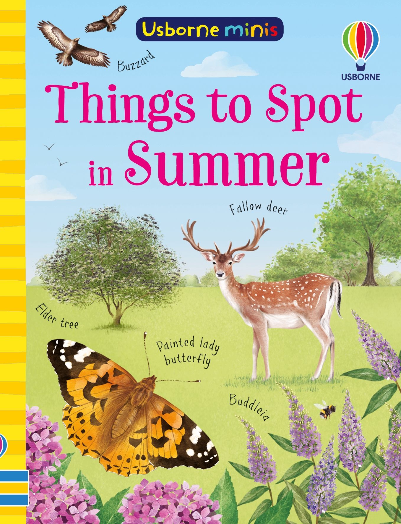 Things to Spot in Summer, Age 6+