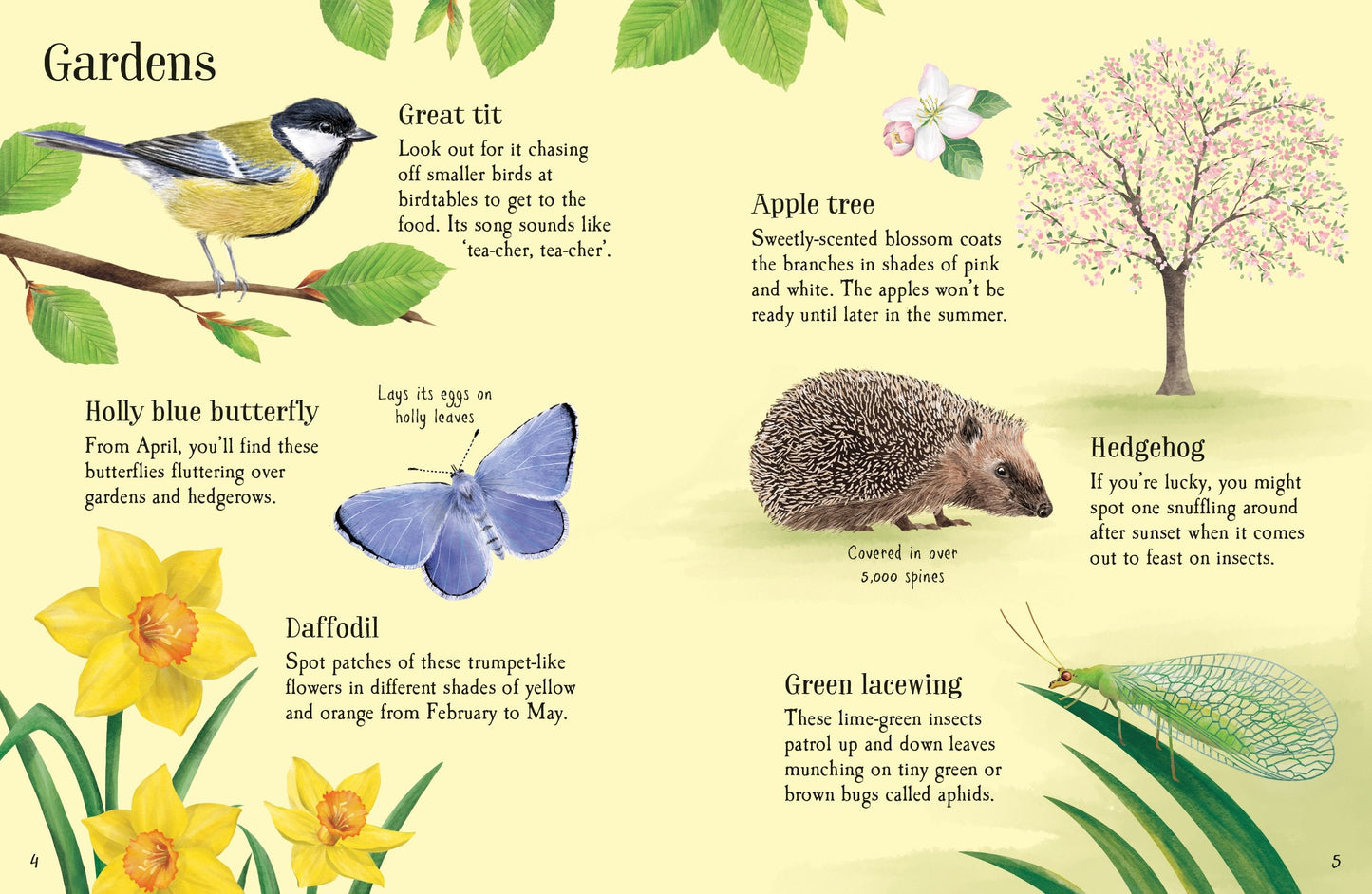 Things to Spot in Springtime, Age 6+