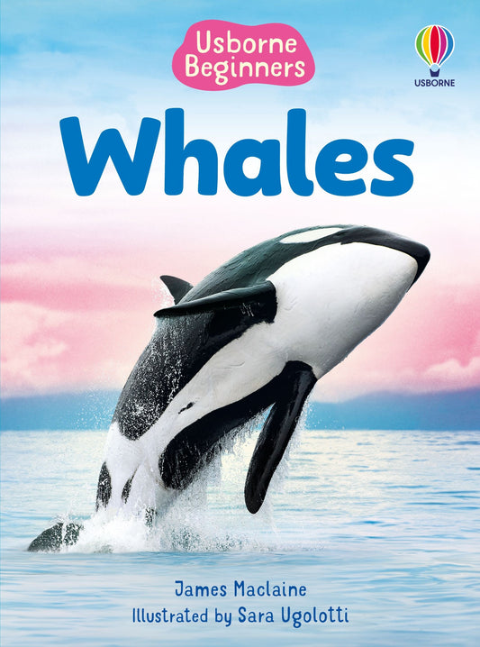 Beginners Whales, Age 4+